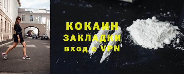 a pvp Бородино