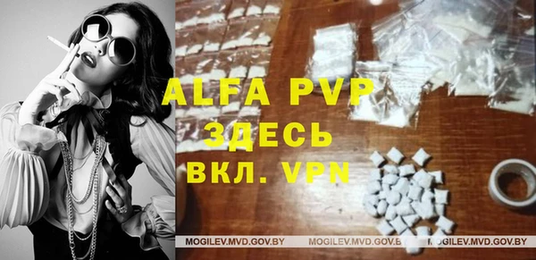 a pvp Бородино