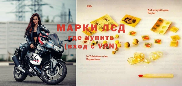 эйфоретик Богданович