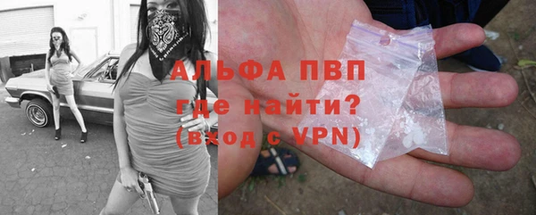 эйфоретик Богданович