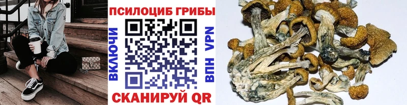 Псилоцибиновые грибы ЛСД  Купить закладки  Кунгур 