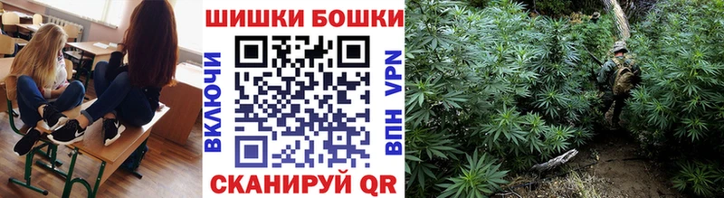 Каннабис SATIVA & INDICA  Купить закладки  Кунгур 